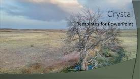  Presentation with stream - Presentation theme featuring trees-along-a-stream background and a light blue colored foreground