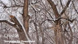  Presentation with fort - Cool new theme with trees-along-the-poudre-river backdrop and a gray colored foreground