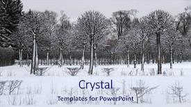  Presentation with trees - Beautiful slide deck featuring trees and bushes in winter backdrop and a sky blue colored foreground