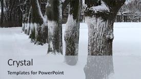  Presentation with green trees in park - PPT layouts featuring trees and bushes in winter background and a lemonade colored foreground