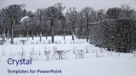  Presentation with winter and trees - PPT layouts featuring trees and bushes in winter background and a sky blue colored foreground