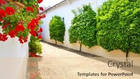  Presentation with black and white trees - Beautiful PPT theme featuring trees and flowers on the white streets of andalucia spain backdrop and a lemonade colored foreground