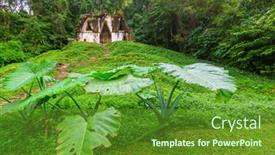  Presentation with growing - Cool new PPT theme with trees-and-grass-growing-out backdrop and a tawny brown colored foreground