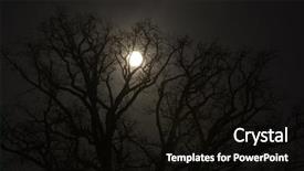  Presentation with moon trees - Colorful slide set enhanced with trees and moon at night backdrop and a black colored foreground