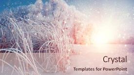  Presentation with winter scene - Slides with trees and reed snowy forest background and a lemonade colored foreground