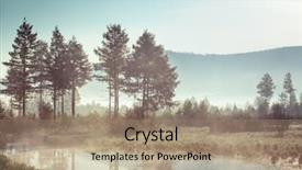  Presentation with misty - Colorful slide deck enhanced with trees and reeds near backdrop and a coral colored foreground