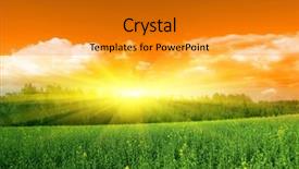  Presentation with rapeseed - Presentation theme with trees and yellow rapeseed field background and a gold colored foreground