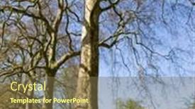 Presentation with hyde park - Cool new PPT theme with trees-at-the-hyde-park backdrop and a tawny brown colored foreground