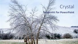  Presentation with kentucky - Amazing presentation design having trees-covered-in-ice backdrop and a sky blue colored foreground