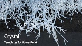  Presentation with crystal - Audience pleasing slides consisting of trees covered with frost backdrop and a dark gray colored foreground