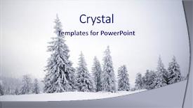  Presentation with snow tree - Colorful PPT layouts enhanced with trees covered with hoarfrost backdrop and a sky blue colored foreground