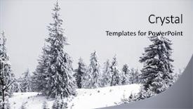  Presentation with christmas magic - Slide deck with trees covered with hoarfrost and snow in winter mountains - magic christmas snowy background background and a light gray colored foreground