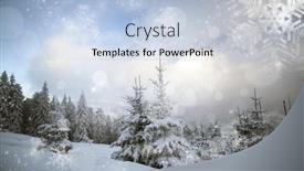  Presentation with christmas magic - 