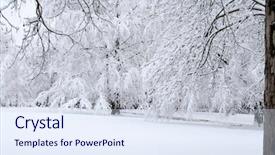  Presentation with winter scene - Presentation having trees covered with white snow against a snowy background winter scene background and a sky blue colored foreground