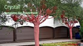  Presentation with hearts - PPT layouts enhanced with trees-decorated-with-balls background and a tawny brown colored foreground