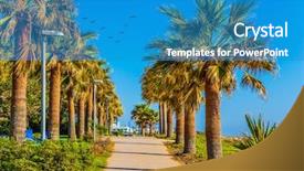  Presentation with palm beach - Slide set with trees flock of migratory birds background and a teal colored foreground