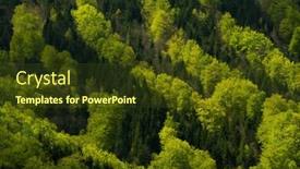  Presentation with growing - Amazing PPT theme having trees-growing-in-a-row backdrop and a tawny brown colored foreground