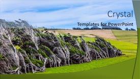  Presentation with route - Colorful PPT layouts enhanced with trees-growing-under-a-gale backdrop and a light blue colored foreground