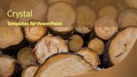  Presentation with tree - Presentation design enhanced with trees-have-been-felled-tree background and a tawny brown colored foreground