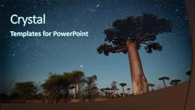  Presentation with moon trees - Presentation theme with red wine grapes in voiolet basket on bllack background top view copy space background and a tawny brown colored foreground.