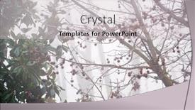  Presentation with foggy - Cool new slide deck with trees-in-a-foggy-day backdrop and a light gray colored foreground
