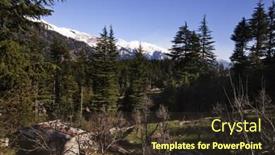  Presentation with himachal pradesh - Beautiful slides featuring trees-in-a-forest backdrop and a tawny brown colored foreground