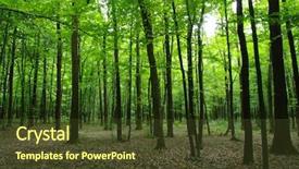  Presentation with trees - Slides with trees in a green forest background and a tawny brown colored foreground