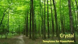  Presentation with green tree - Slide deck having trees in a green forest background and a tawny brown colored foreground