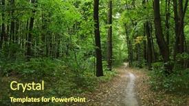  Presentation with tree sky trees green - Slide set enhanced with trees in a green forest background and a  colored foreground