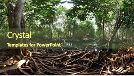 Presentation with thailand - Audience pleasing PPT layouts consisting of trees in a peat swamp backdrop and a tawny brown colored foreground