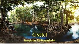 Presentation with krabi - Beautiful theme featuring trees in a peat swamp backdrop and a tawny brown colored foreground