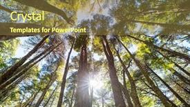  Presentation with chile - Amazing PPT theme having trees in andes mountains chile backdrop and a tawny brown colored foreground