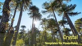  Presentation with chile - Audience pleasing theme consisting of trees in andes mountains chile backdrop and a tawny brown colored foreground