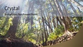  Presentation with chile - Beautiful presentation featuring trees in andes mountains chile backdrop and a light blue colored foreground