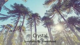  Presentation with trees - Cool new slide deck with trees in andes mountains chile backdrop and a light gray colored foreground