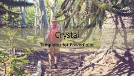  Presentation with trees - Beautiful slide set featuring trees in andes mountains chile backdrop and a coral colored foreground