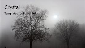  Presentation with fog - Cool new PPT theme with trees in early morning fog backdrop and a light gray colored foreground