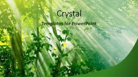  Presentation with forest fairy - Amazing presentation theme having trees in fairy forest backdrop and a yellow colored foreground