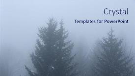  Presentation with gloomy - Theme having trees-in-gloomy-foggy-weather background and a sky blue colored foreground