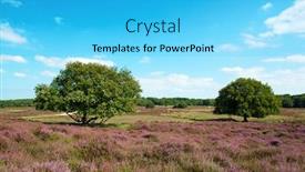  Presentation with purple flowers - Slide deck with home office design workspace room background and a gray colored foreground.