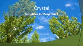  Presentation with trees - Theme having trees-in-maderuelo-segovia-province background and a teal colored foreground