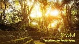 Presentation with monkey - Presentation design with trees in monkey forest in the city of ubud bali indonesia background and a tawny brown colored foreground