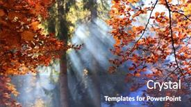  Presentation with forest morning - Slides enhanced with trees in morning forest mist background and a ocean colored foreground