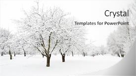  Presentation with snow day - Amazing slides having trees in park fully covered backdrop and a white colored foreground