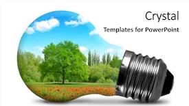  Presentation with poppy - PPT theme consisting of trees in poppy field environment background and a white colored foreground