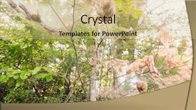  Presentation with fall - Amazing PPT theme having trees in red river gorge backdrop and a soft green colored foreground