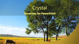  Presentation with rice paddy - PPT theme with trees in rice paddy background and a tawny brown colored foreground