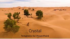  Presentation with sahara - Cool new PPT theme with trees in sahara desert backdrop and a gold colored foreground