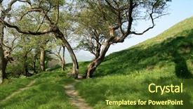  Presentation with pine trees sun shining through - Amazing PPT layouts having trees in the english countryside backdrop and a  colored foreground