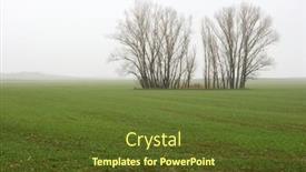  Presentation with fog - Presentation theme having trees-in-the-fog background and a tawny brown colored foreground